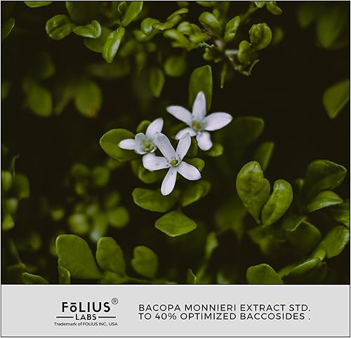 Miniatura 9 de FOLIUS LABS Bacopa Monnieri Cápsulas 750mg  Suplemento herbario con 40% Bacosides Bacopa Monnieri  Ayuda a apoyar la memoria y la capacidad