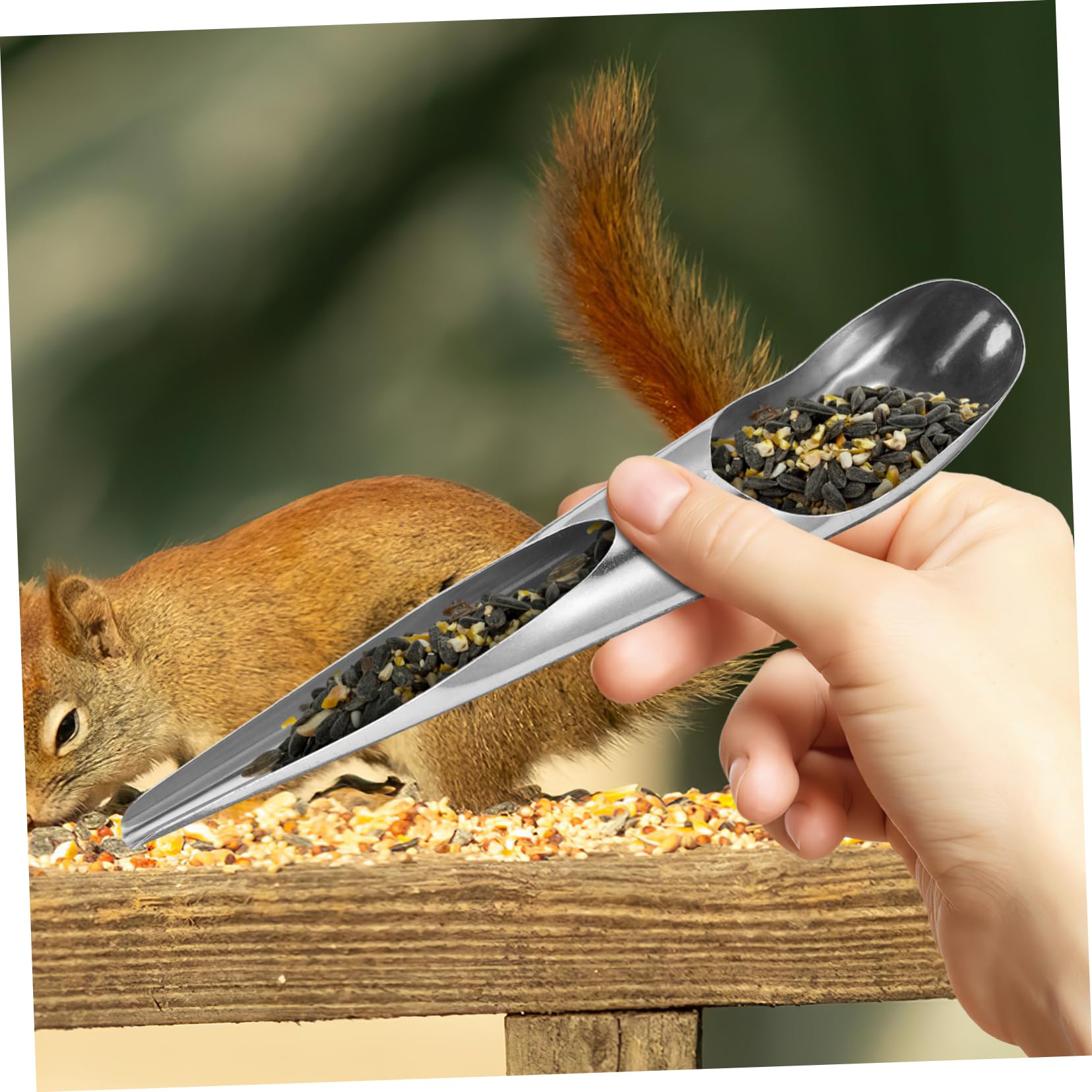 Mikikit 2pcs Stainless Steel Bird Food Scoop Tool for Convenient Feeding Bird Water and Food Added Feeder for Parrots and Other Pets
