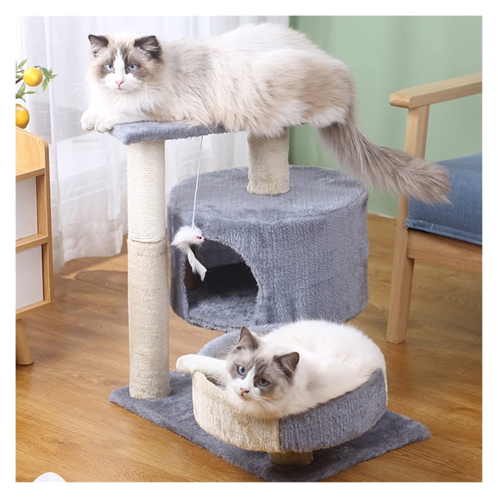 Muebles para Gatos Doble Pelea Gato pequeño Marco de Escalada Plataforma Salto molienda Garra Columna rascador Seta Mascota Juguete Suministros