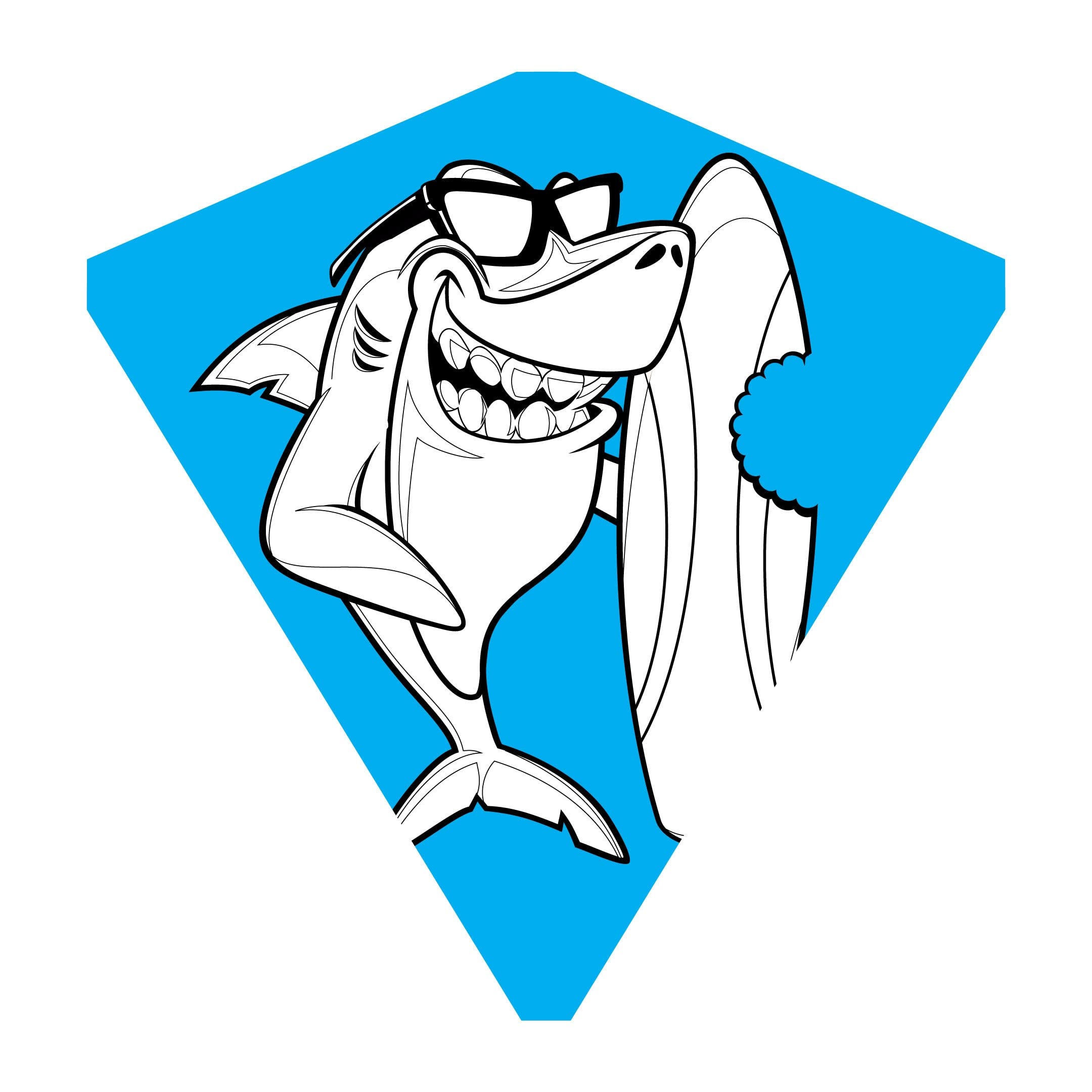 X Kites Color-Me-Kite® Kite Assortment Poly Kite