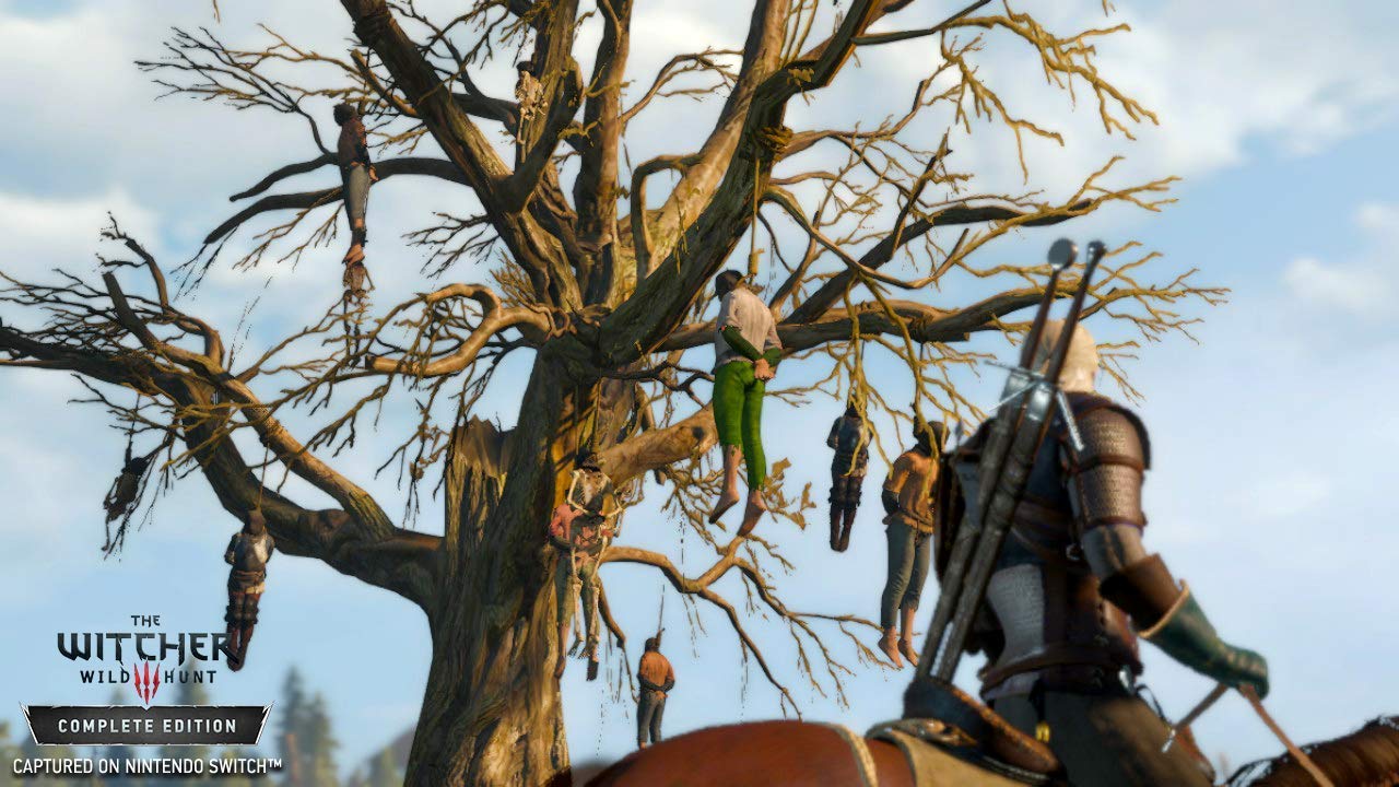 The Witcher 3: Wild Hunt - Complete Edition - Nintendo Switch [Edizione: Francia]