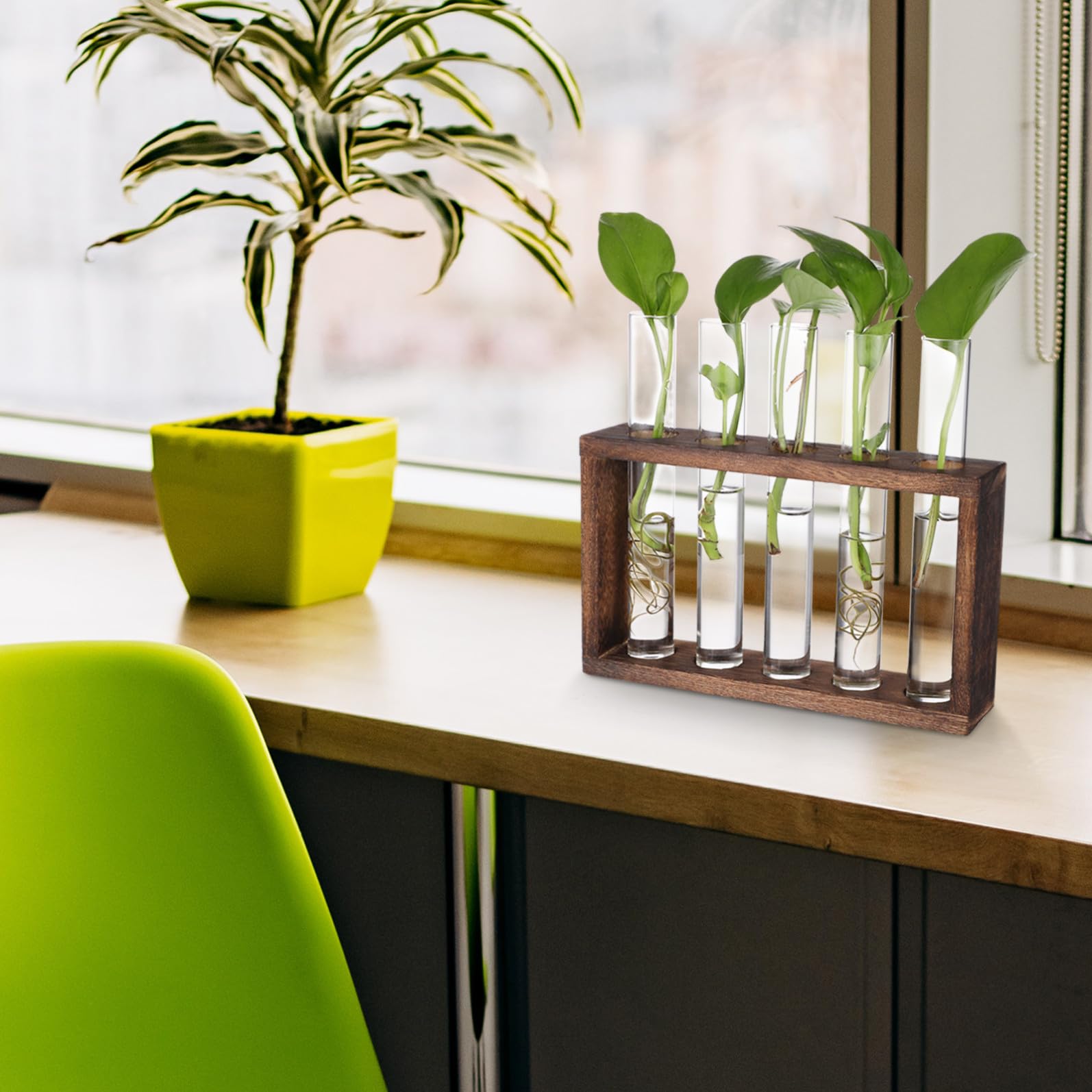 TOYANDONA Wandhängende Glaspflanzgefäße Anzuchtstationen Reagenzgläser Holzständer Reinigungsbürste Befestigungsnägel Für Efeutute Veilchen Bambus Zuhause Garten Balkon Fensterbank