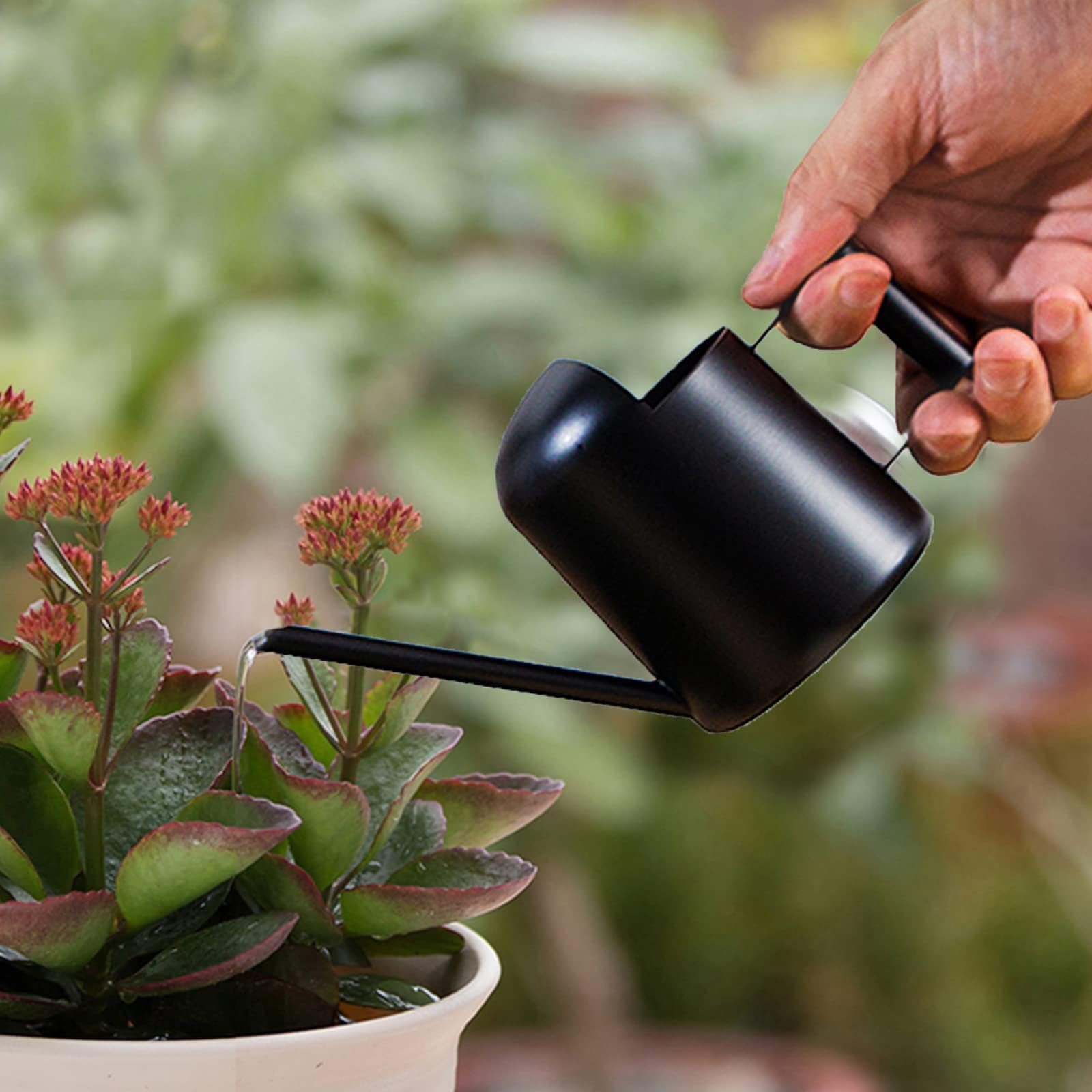 XTDMJ 250ML Schwarz Gießkanne Klein Zimmerpflanzen, Mini Gießkanne