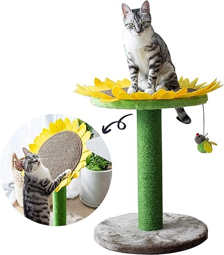 Catry Árbol para gatos camas y muebles para gatos con aspecto natural todo en 1, a los gatos les encanta descansar y reclinarse perezosamente
