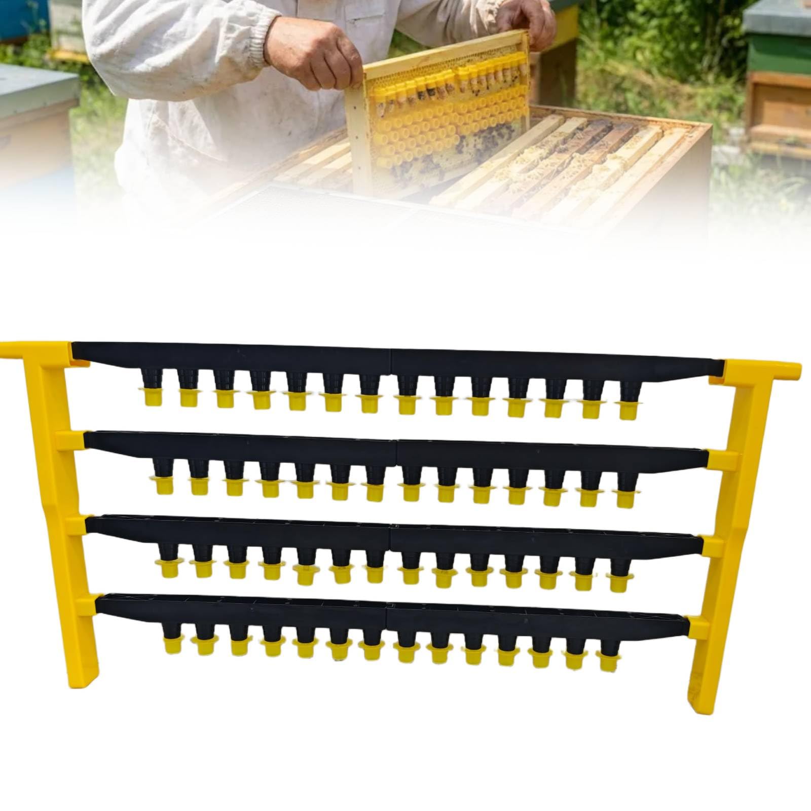 Amazon.com : JZBZ Queen Bee Rearing System Queen Bee Rearing Kit