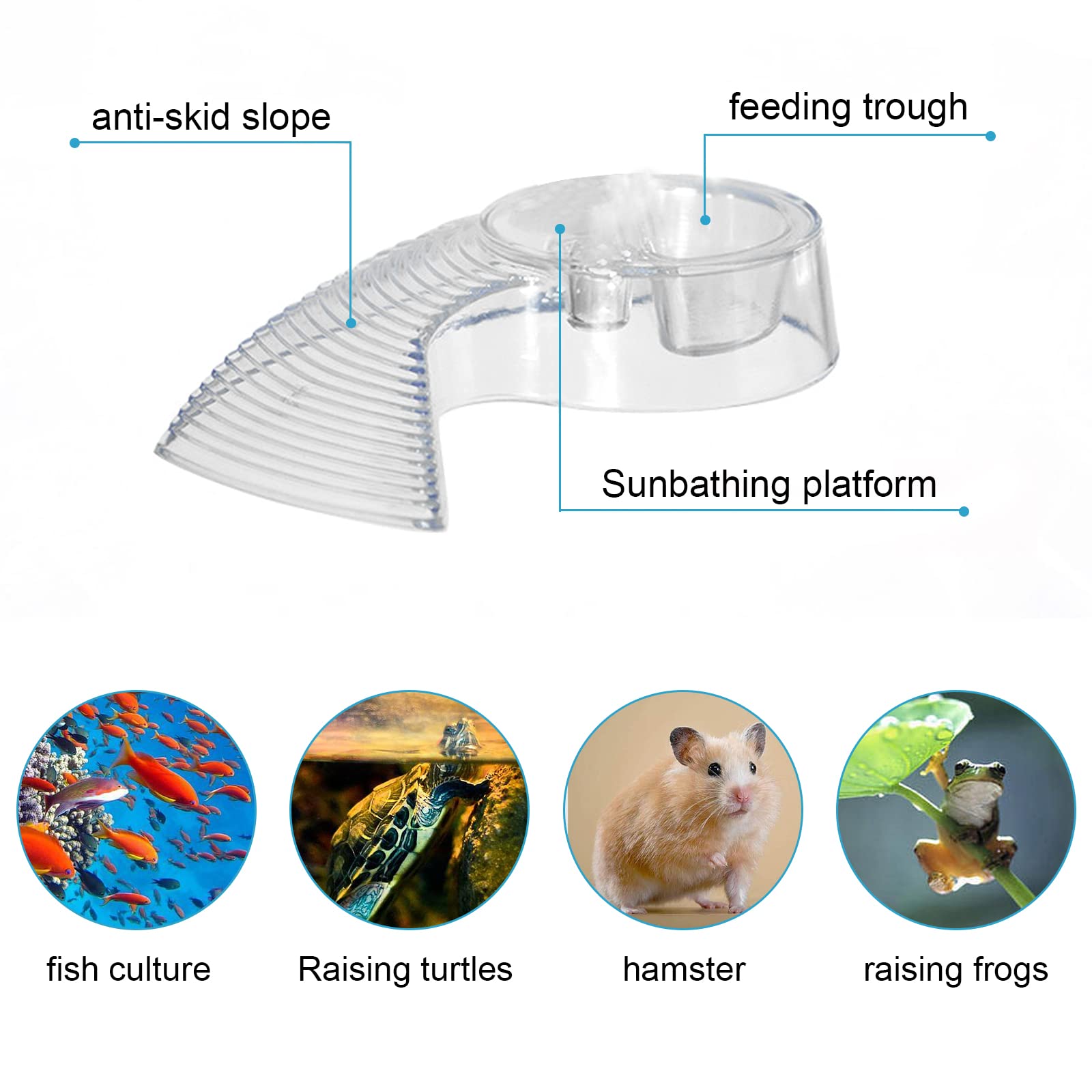 BUGUUYO Mini Aquarium Portable En Plastique Avec Couvercle Pour Tortues Et Poissons D'animaux De Compagnie, Facile à Nettoyer, Design Transparent Pour