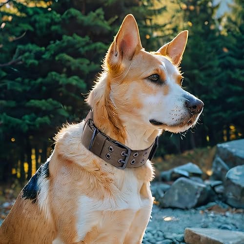 Miniatura 9 de EXCELLENT ELITE SPANKER Collar militar para perro de 1.5 pulgadas de ancho, anillo en D de metal ajustable y hebilla para perros medianos y grandes