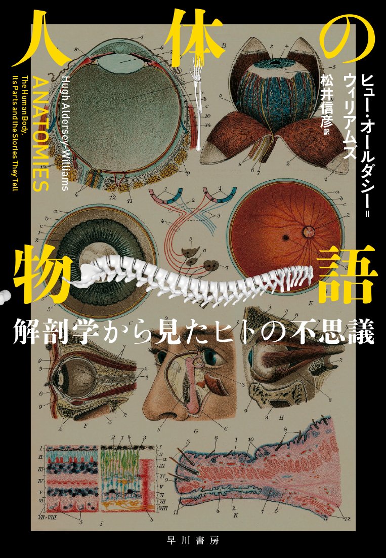 Amazon.co.jp: 人体の物語: 解剖学から見たヒトの不思議 : ヒュー