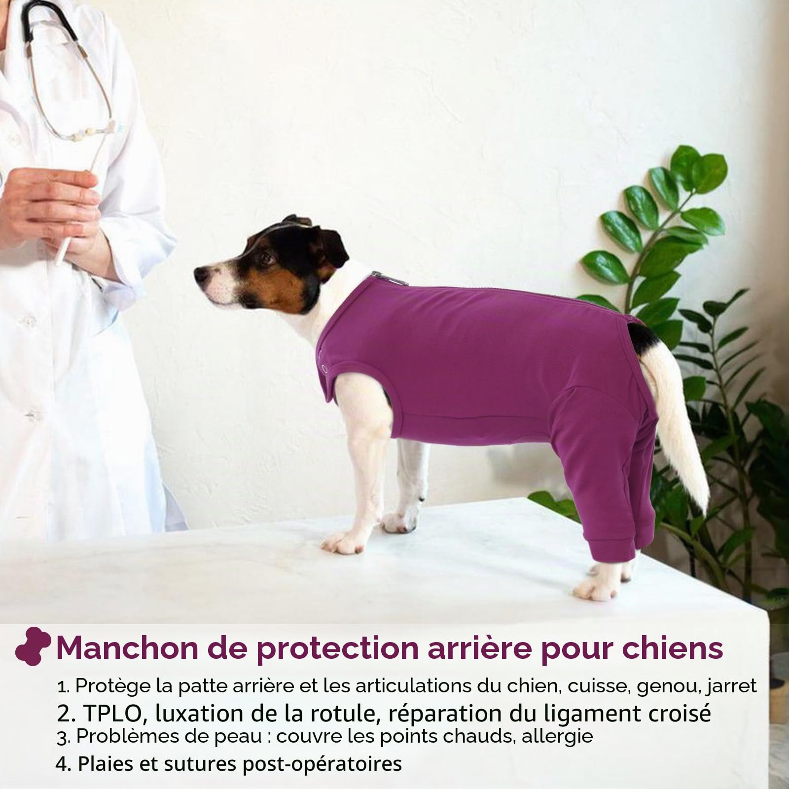 Combinaison De Récupération pour Chien, Body Post Operatoire Male Combinaison de Convalescence pour Chiens Protection Patte Anti Lechage(Violet-Rouge, L)