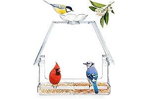 Window Bird Feeder for Bird Lovers & Cats