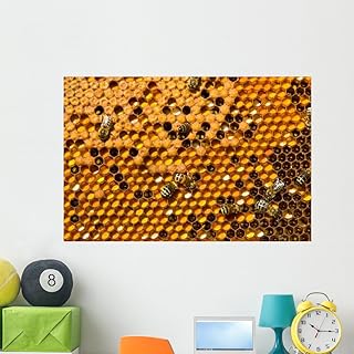 Wallmonkeys Honeycombs with Pergo and Wall Mural Peel and Stick Floral Graphic (48 in W x 32 in H) WM179449