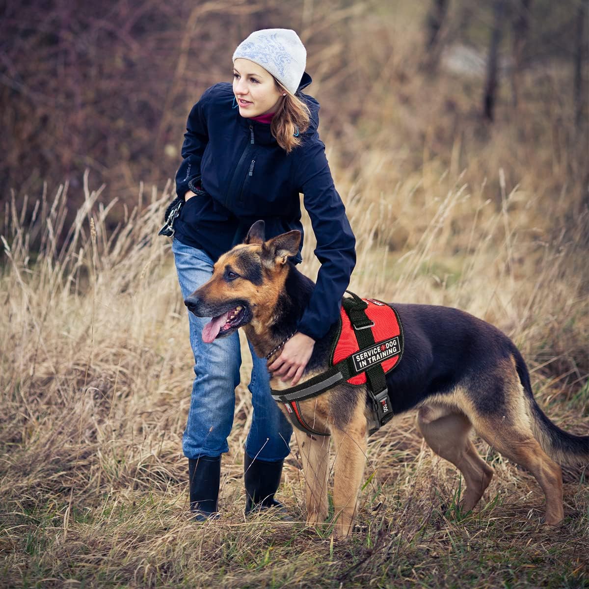 Dogline Unimax Dog Harness Vest with Service Dog in Training Rubber Patches Adjustable Straps Breathable Neoprene for Identification Training Dogs Girth 15 to 19 in Red