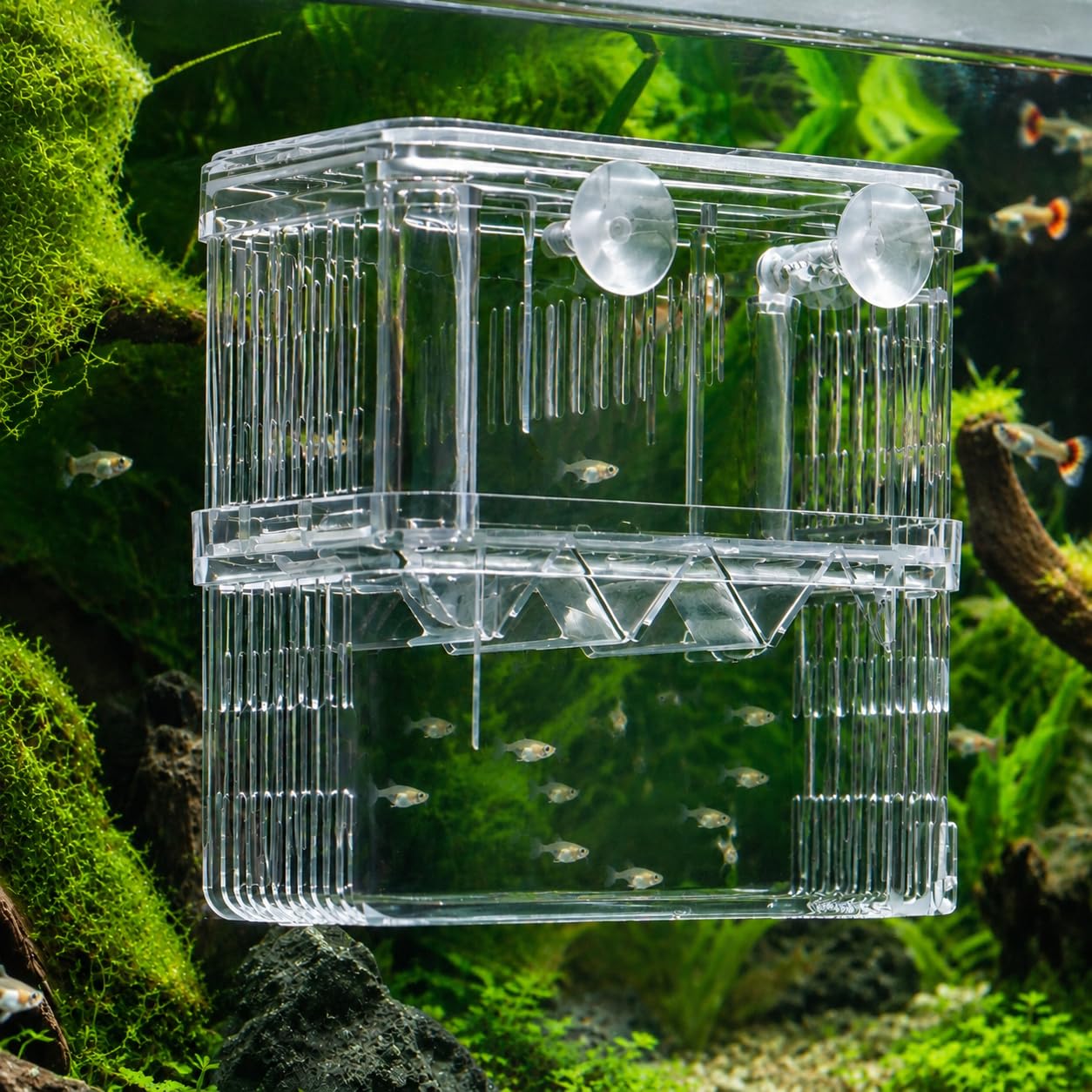 Aquarium Breeder Box for Fish Tank, Acrylic Fry Hatchery &amp; Isolation Box with Air Pump Connector, Double Layer Nursery for Guppy Fry, Shrimp, Betta and Injured Fish (Medium)