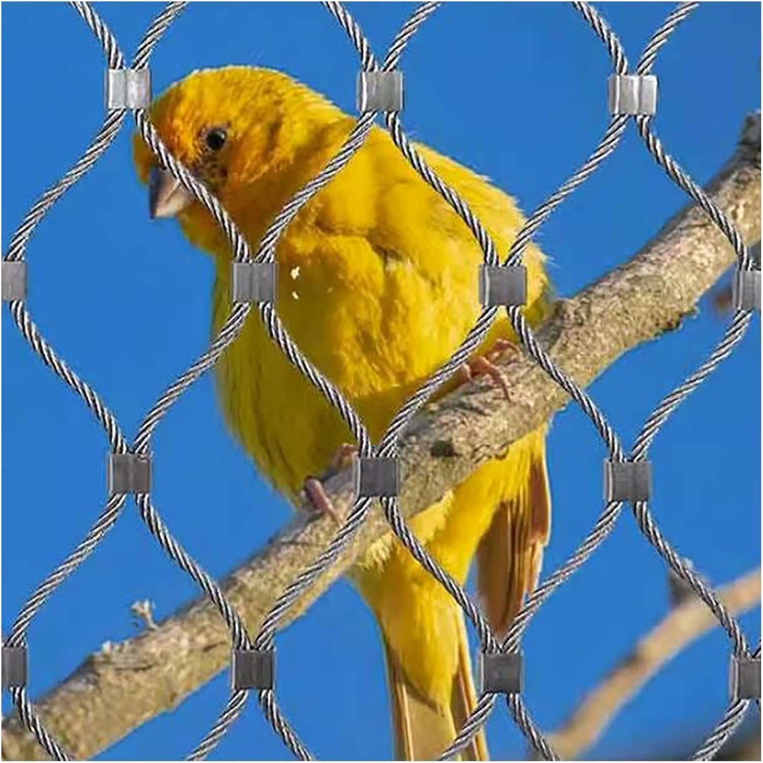 Maille de corde en acier inoxydable flexible pour cage d'animaux ø2mm
