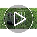 Nut Gatherer for Walnuts with 1.8-Gallon Capacity, No-Bend Emptying Design,Acorn Picker Upper Roller Suitable for 1.2"-3.6" Walnuts,Chestnuts, Fallen Apples & Tennis Balls(No Small Acorn)