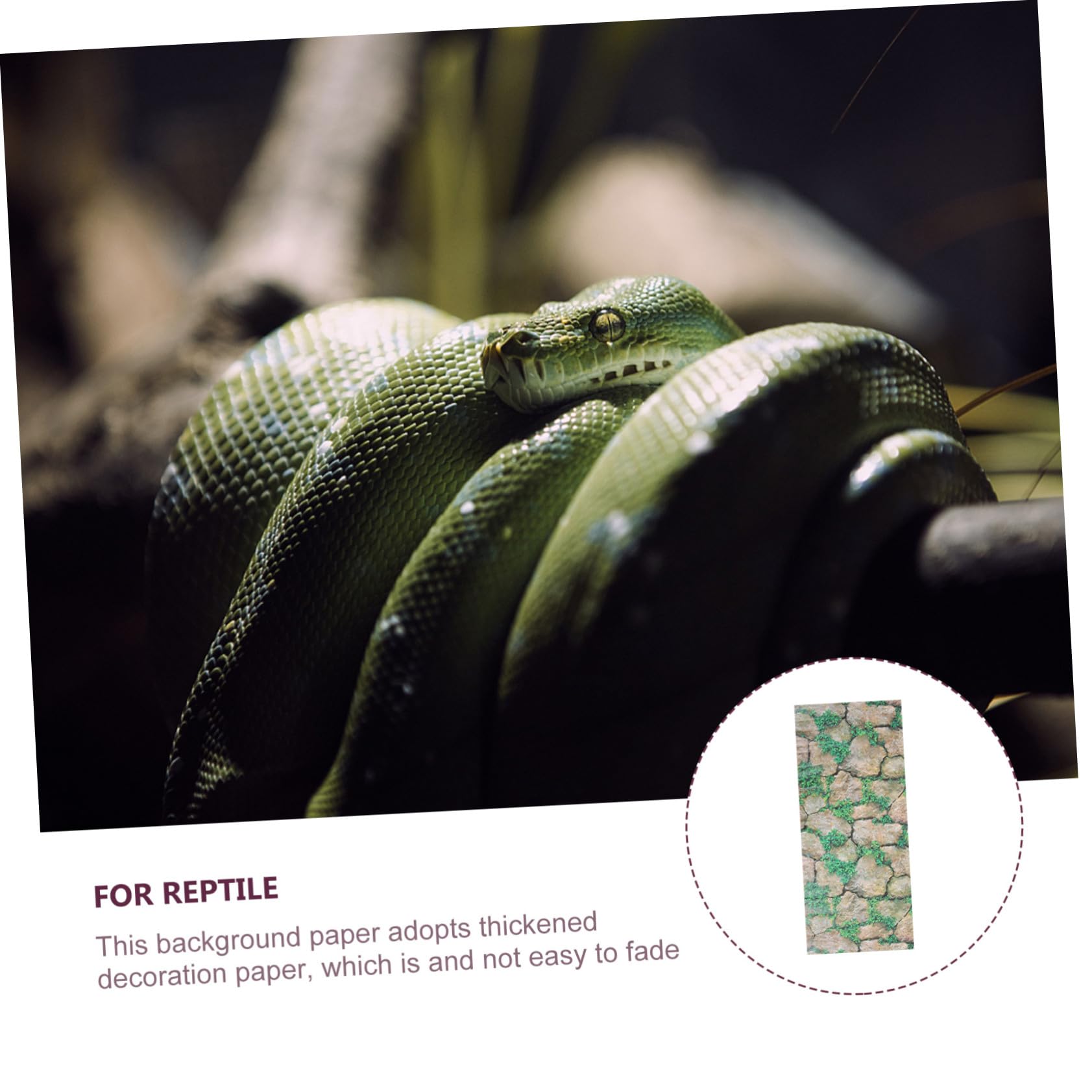Reptilien Terrarium Aufkleber mit Felsenmuster Sicher und Leicht Entfernbar aus Papier Kreative Landschaftsdekoration für Aquarium und Reptilienkasten