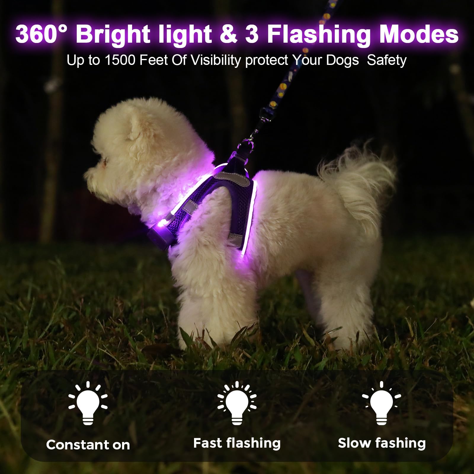 Feycig Light Up Dog Harness - Image 3
