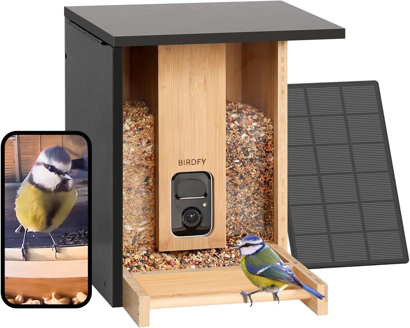 NETVUE Birdfy Comedero Pajaros Exterior, Comederos para Pajaros con Camara, Bambú Ecológico/Renovable, Observación de Aves en Tiempo Real para Teléfono APP, Captura Automática,Notificación Instantánea