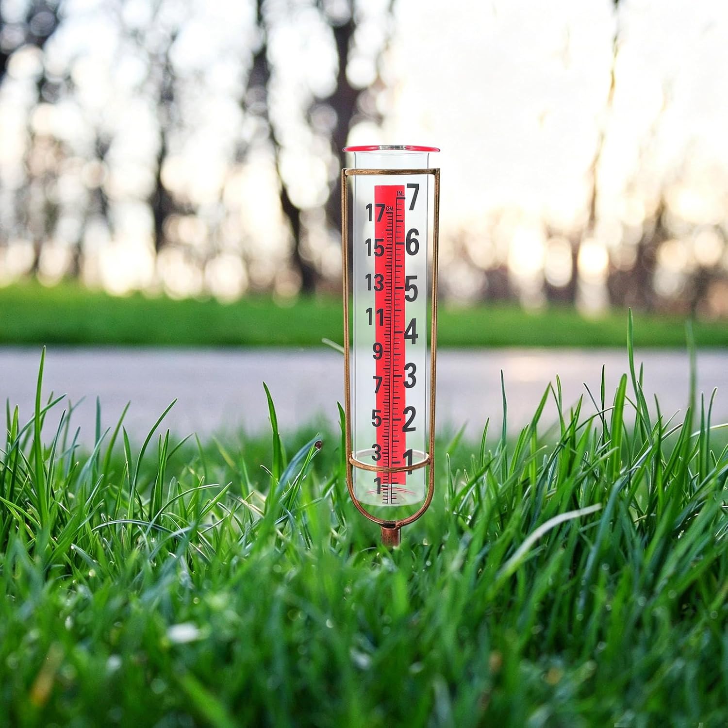 Rain Gauge Glass Replacement Tube, Clear Rain Measurement Device, 8" Water Conservation Tube for Outdoor Garden Yard Water Measurement