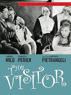 The Visitor