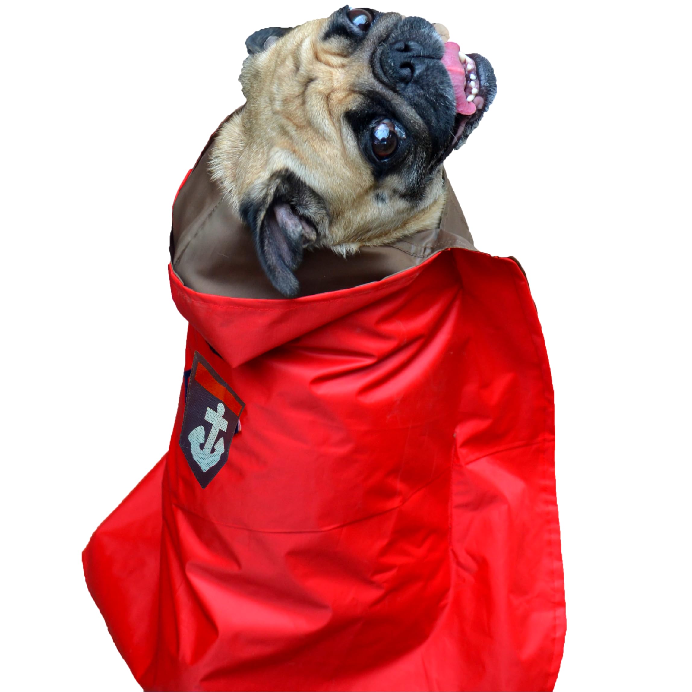 Kitty & The Woof Gang Red Dual Layered Raincoat to Protect Your pet from Rain and Morning Dew. The Hood Keeps The Head Dry. for Dog and Cat - 10 Inch- XS (Extra Small Breeds) (B08WQ1QQGD) Amazon Price History, Amazon Price Tracker