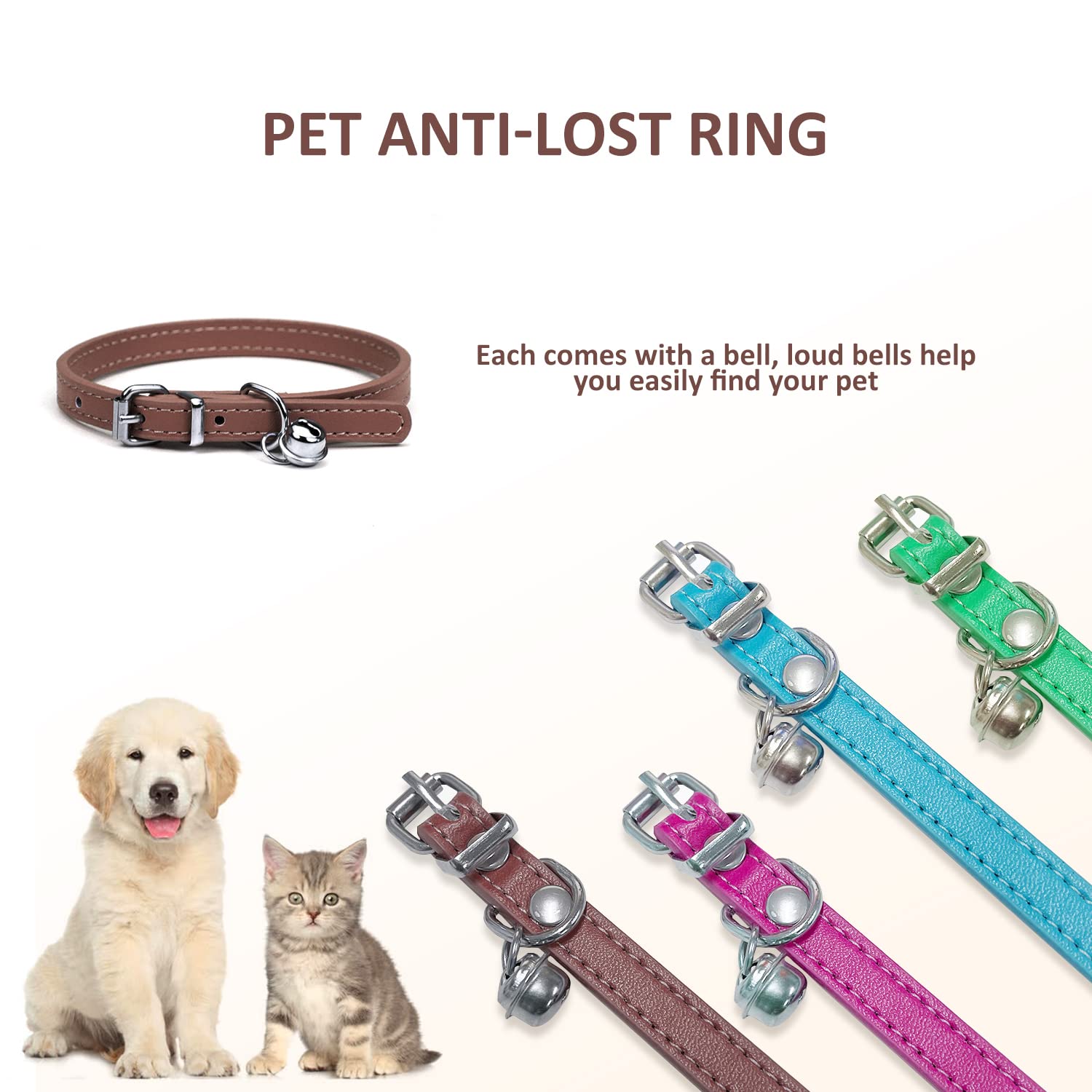 Collare Con Fibbia E Guinzaglio - Foto 2