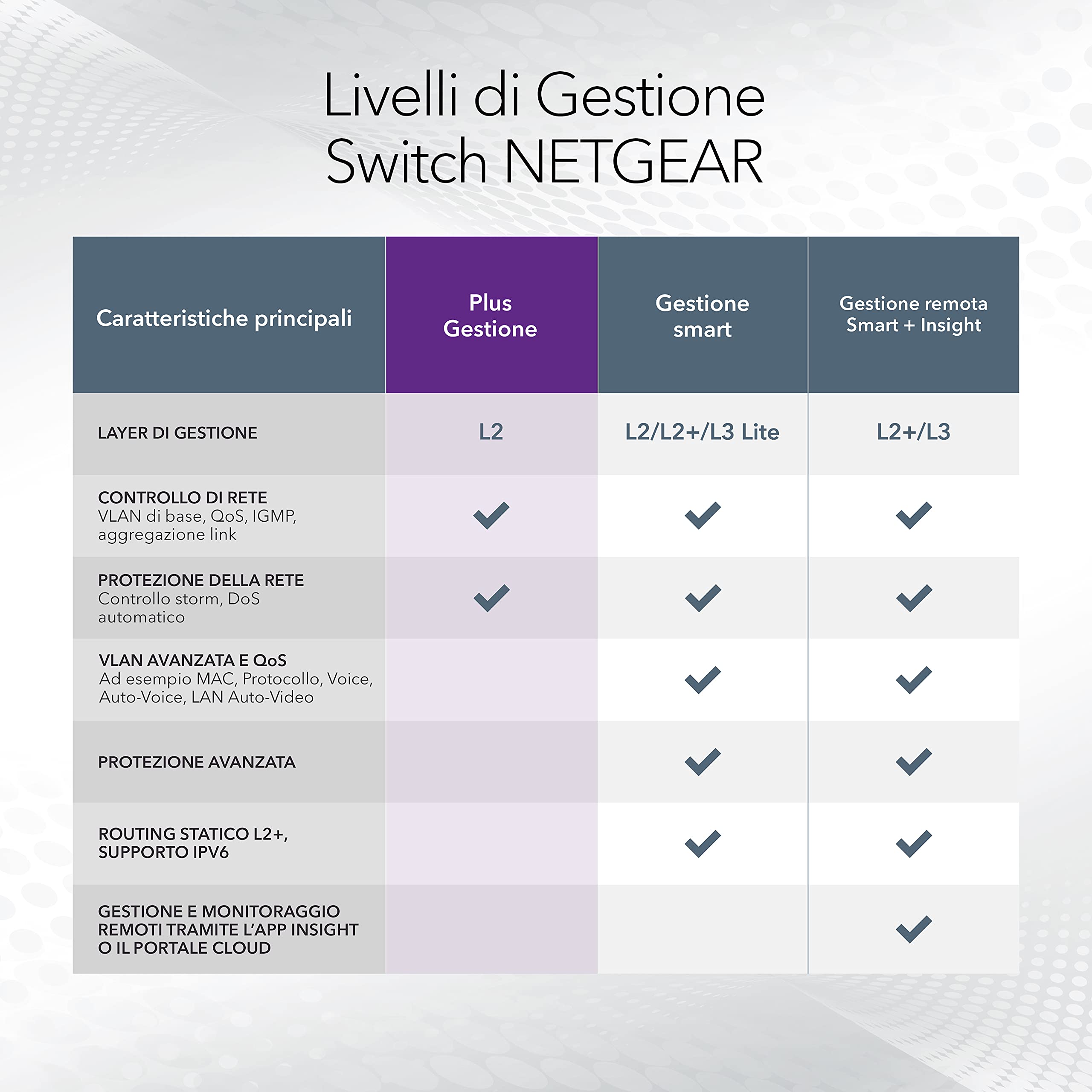 Netgear XS716E-100NES