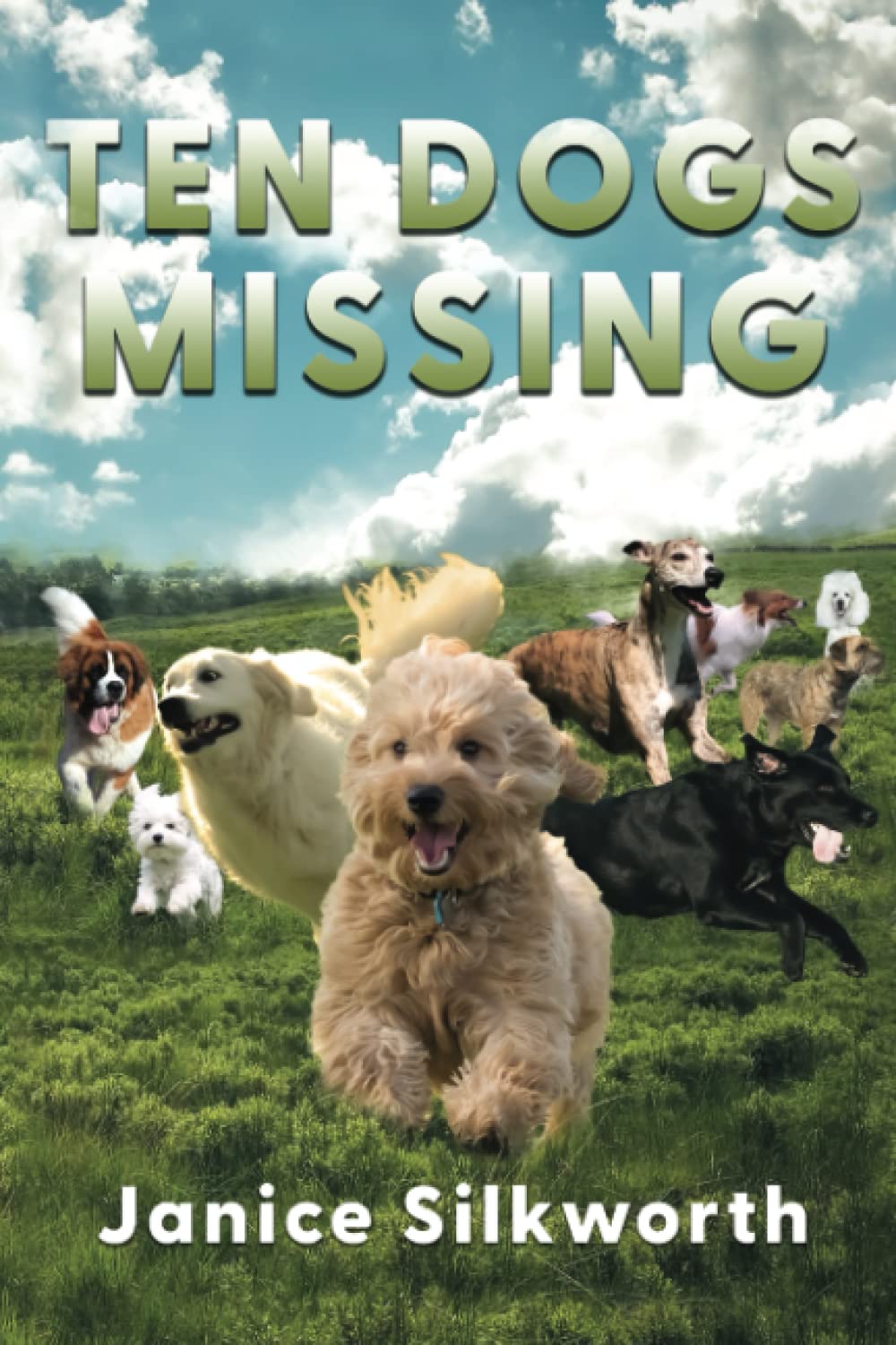 Ten Dogs Missing
