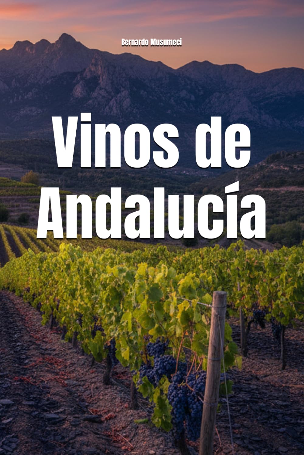 Vinos de Andalucía (Wines of the World: Spain)