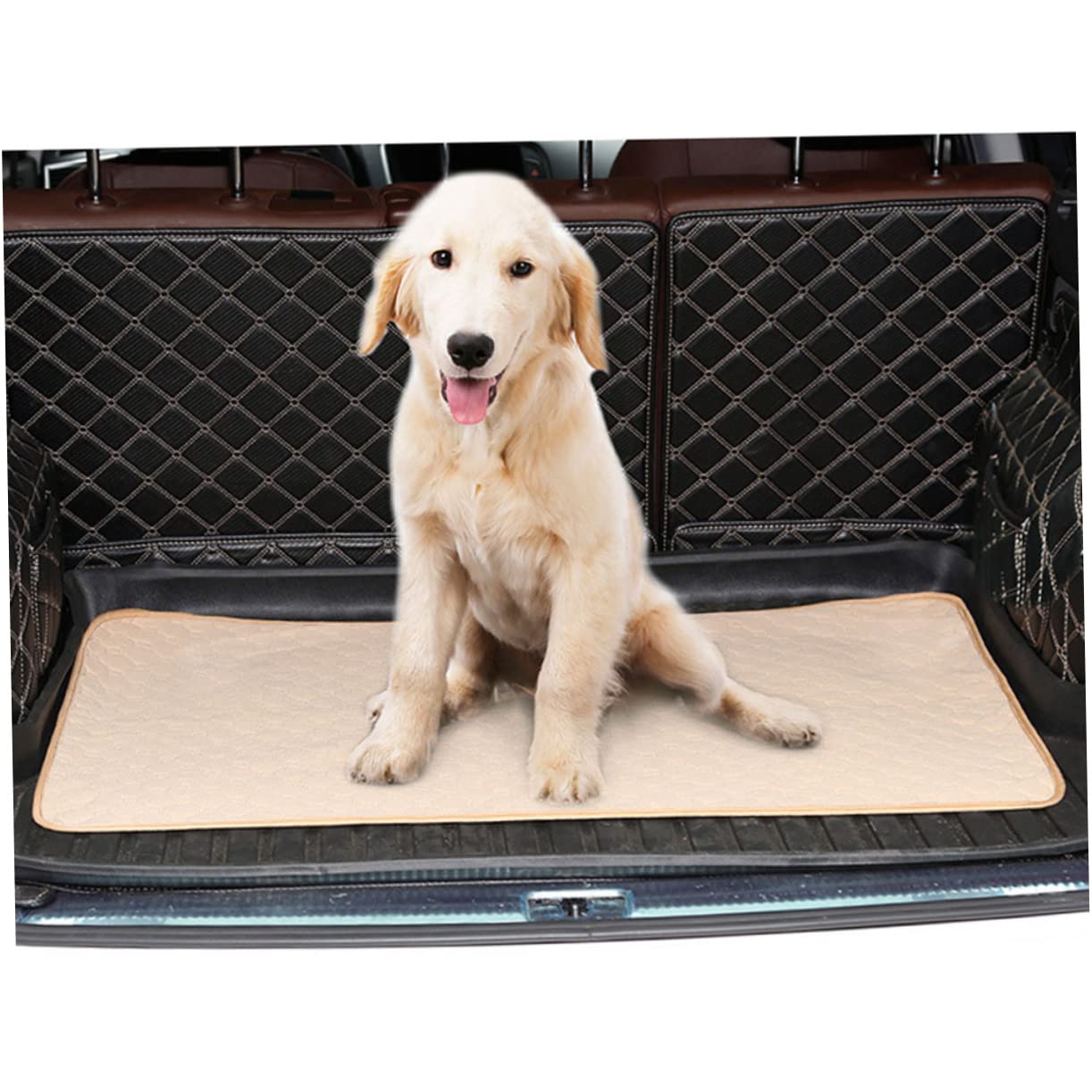 BESPORTBLE Tappetino Igienico Assorbente per Cani e Gatti, Tessuto, e Lavabile, per Addestramento e Uso Quotidiano Domestico