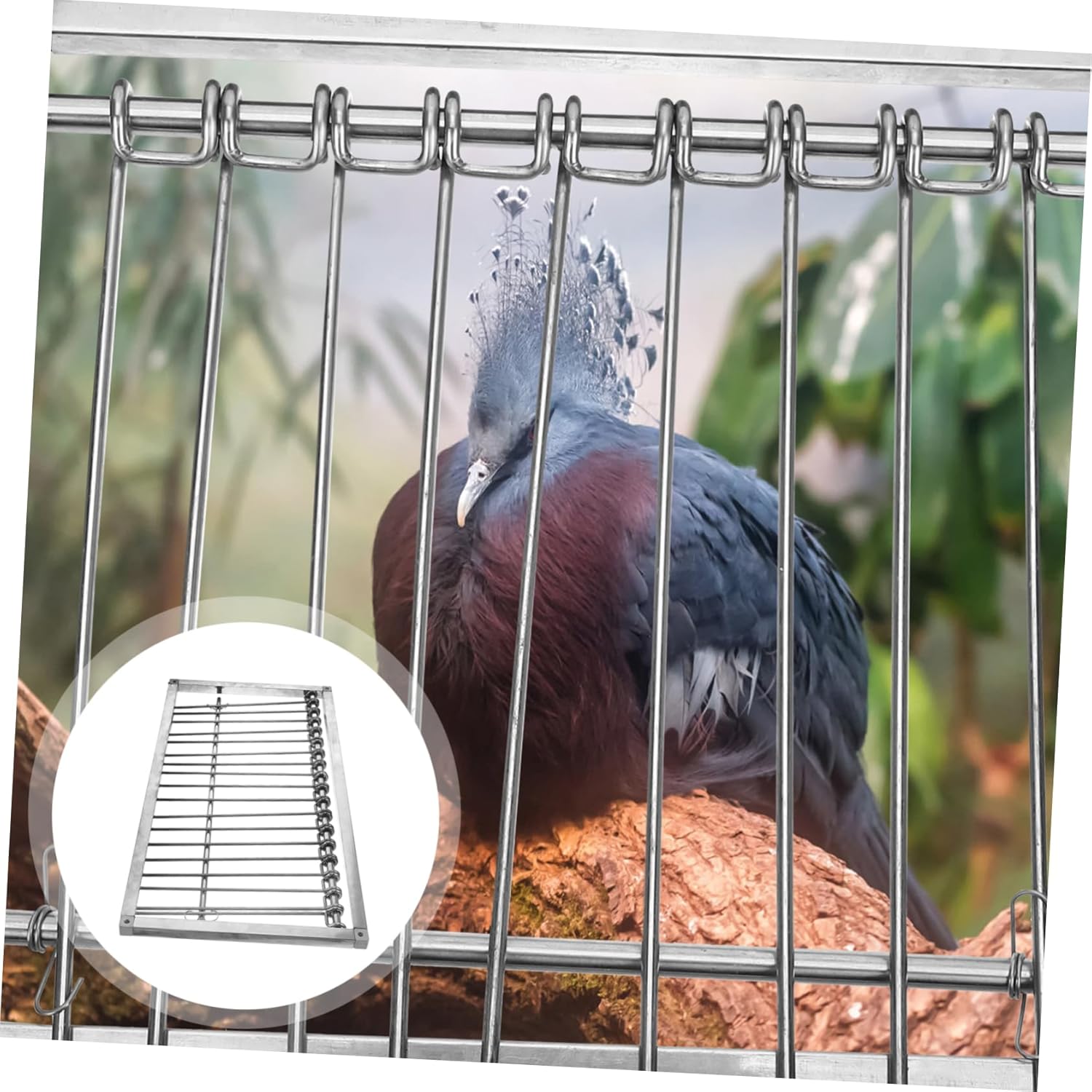 TOYANDONA Pigeon Door for Bird Cage Adjustable Pigeon Cage Entrance Sturdy Design for Easy Installation