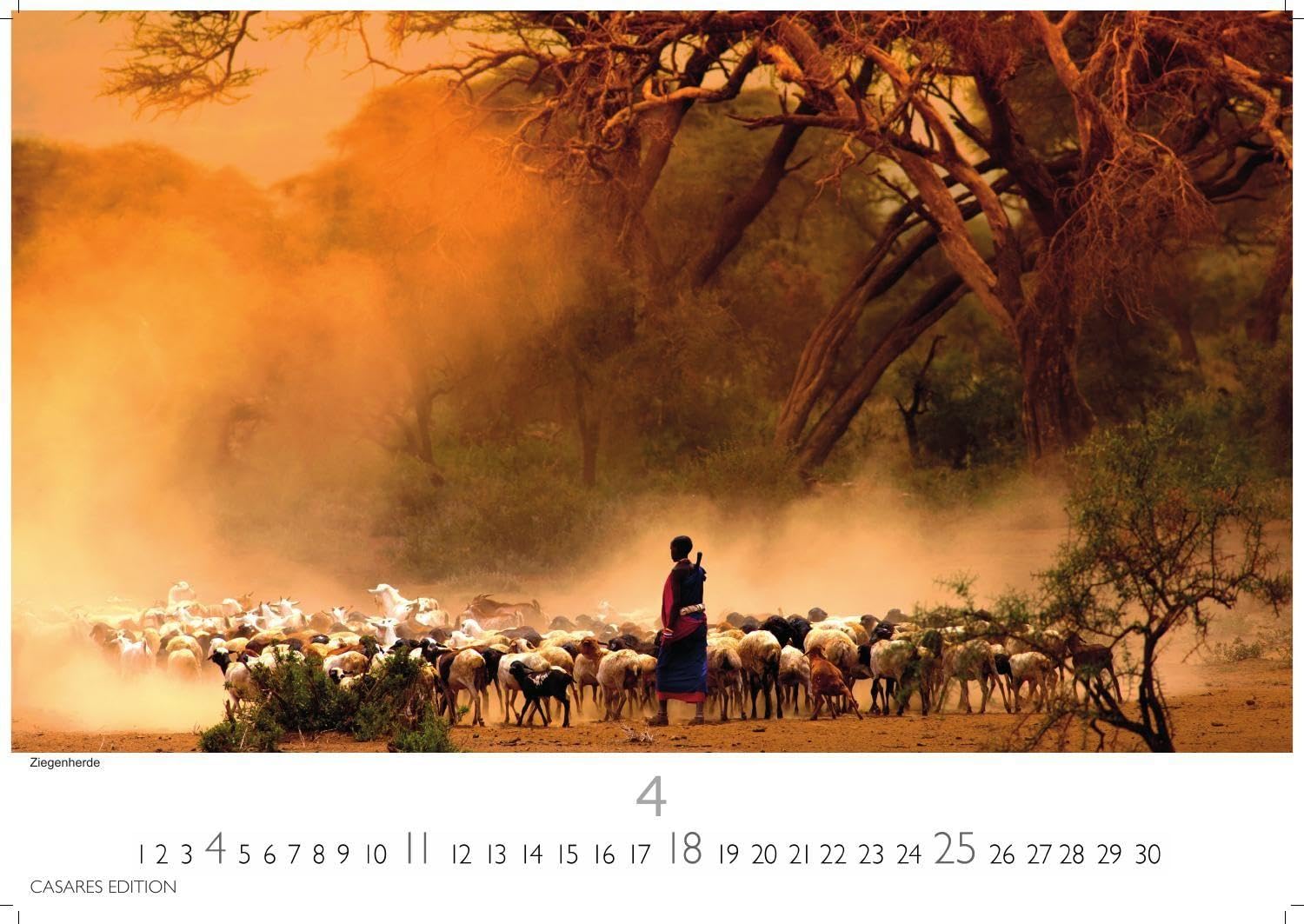 Kenia & Serengheti Kalender 2027 - Wandkalender | Fotokalender Afrika 35x50cm - Wunderschöne Tierkalender- und Naturschutzfotos.