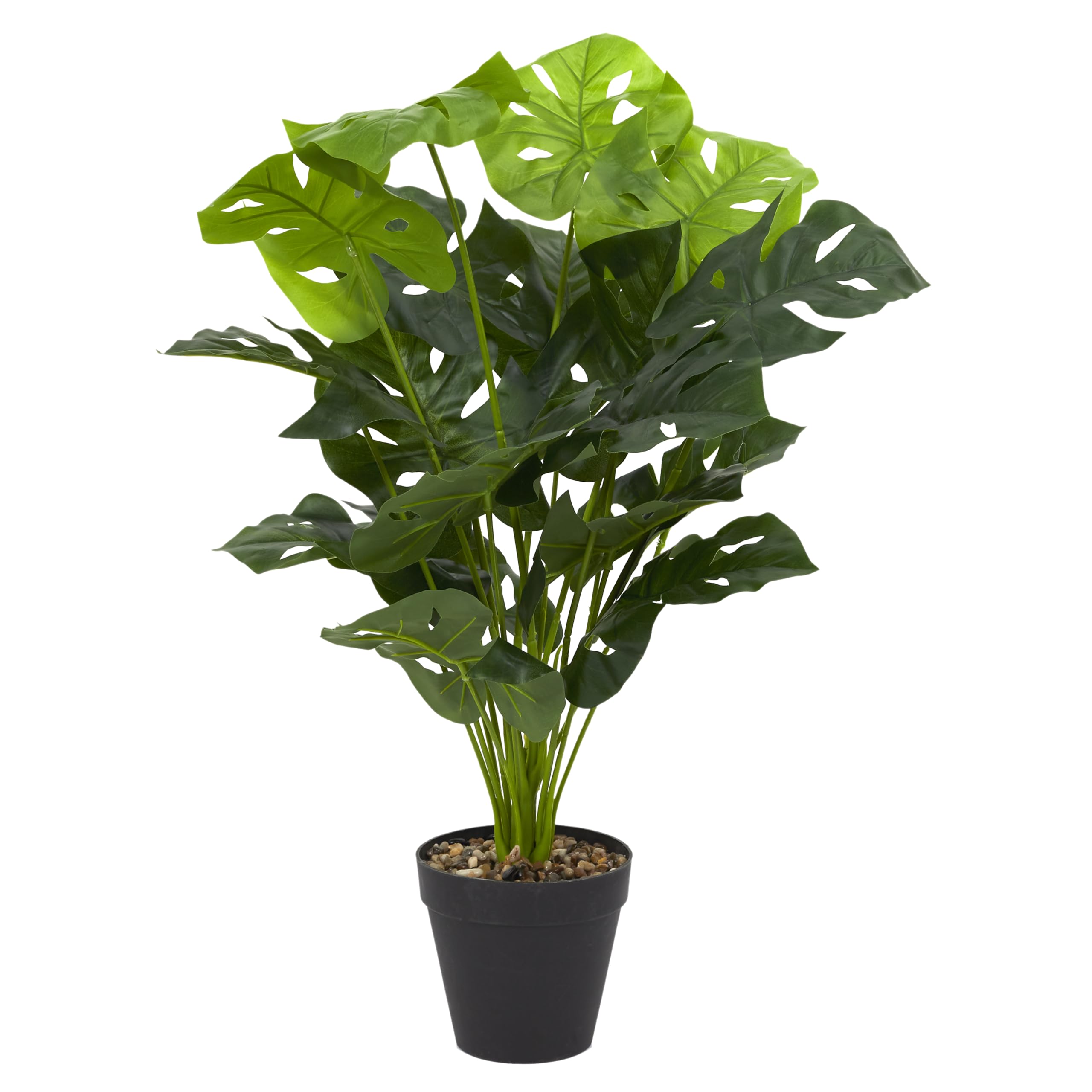 Plante Costilla de Adán 90 cm HOME DECO FACTORY un ajout sophistiqué haut de gamme