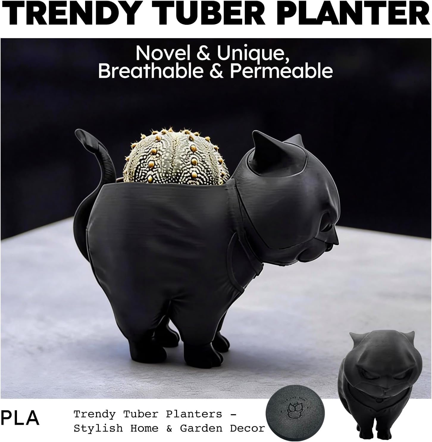 Black Succulent Pot, Creative Desktop Succulent Planter, Flower Pot for Succulents, Home Office Living Room Table Deco