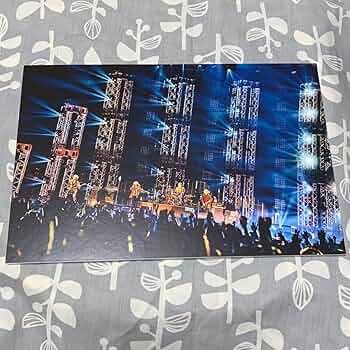 SUPERBEAVER パネル 71LQ5axmthL._UF350,350_QL50_.jpg