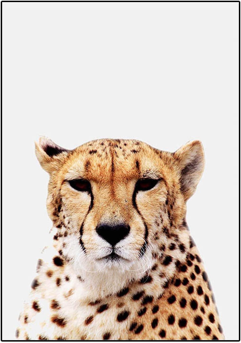 Amazon キャンバス画像かわいい赤ちゃん動物タイガーヒョウポスターとプリントアートワーク壁アートリビングルーム寝室家の装飾19 6 X27 5 50x70cm フレームレス ウォールステッカー オンライン通販