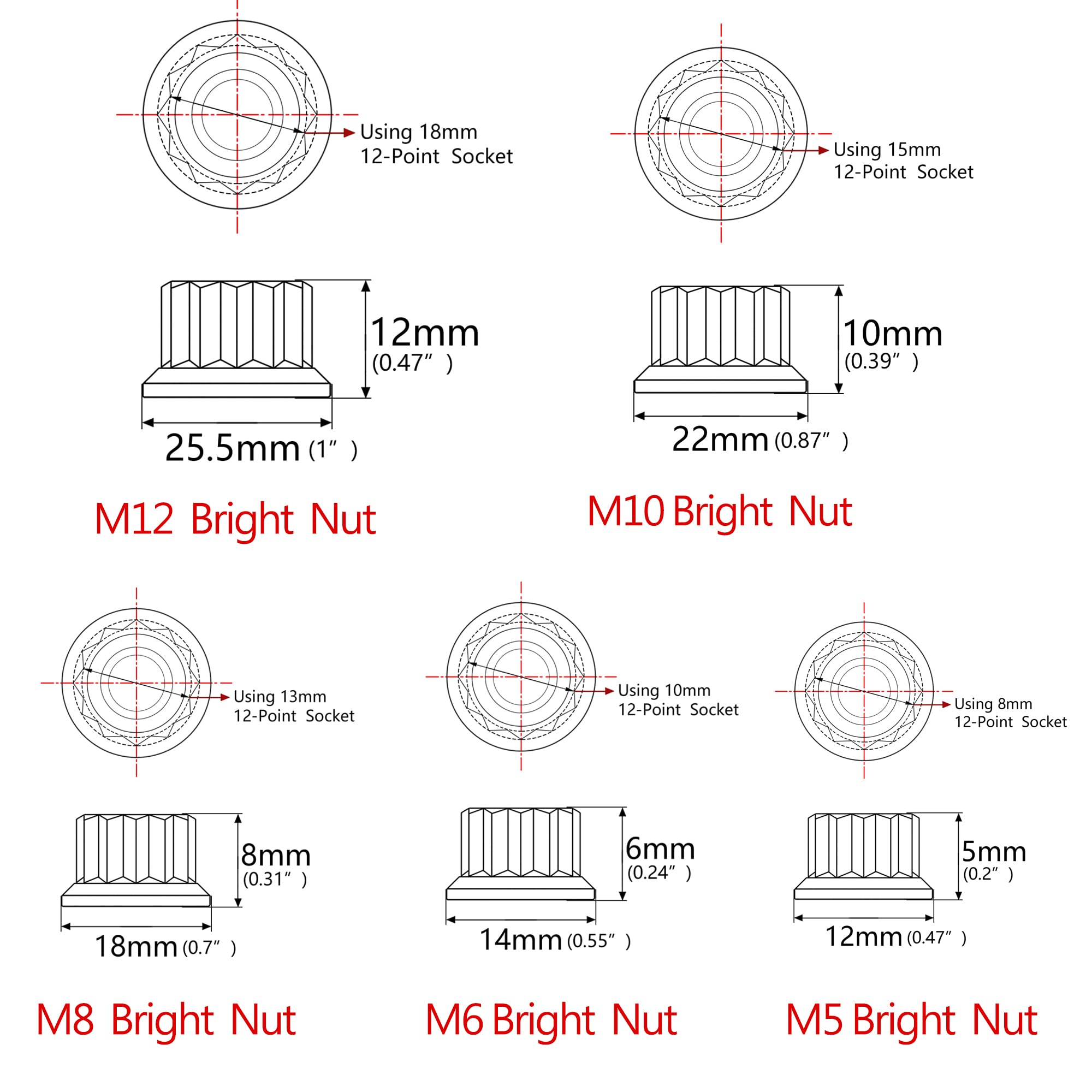 Dado Flangia Titanio M10x1.5 Mm – 2 Pezzi, Esagono 12 Mm – Personalizzato, Leggerissimo