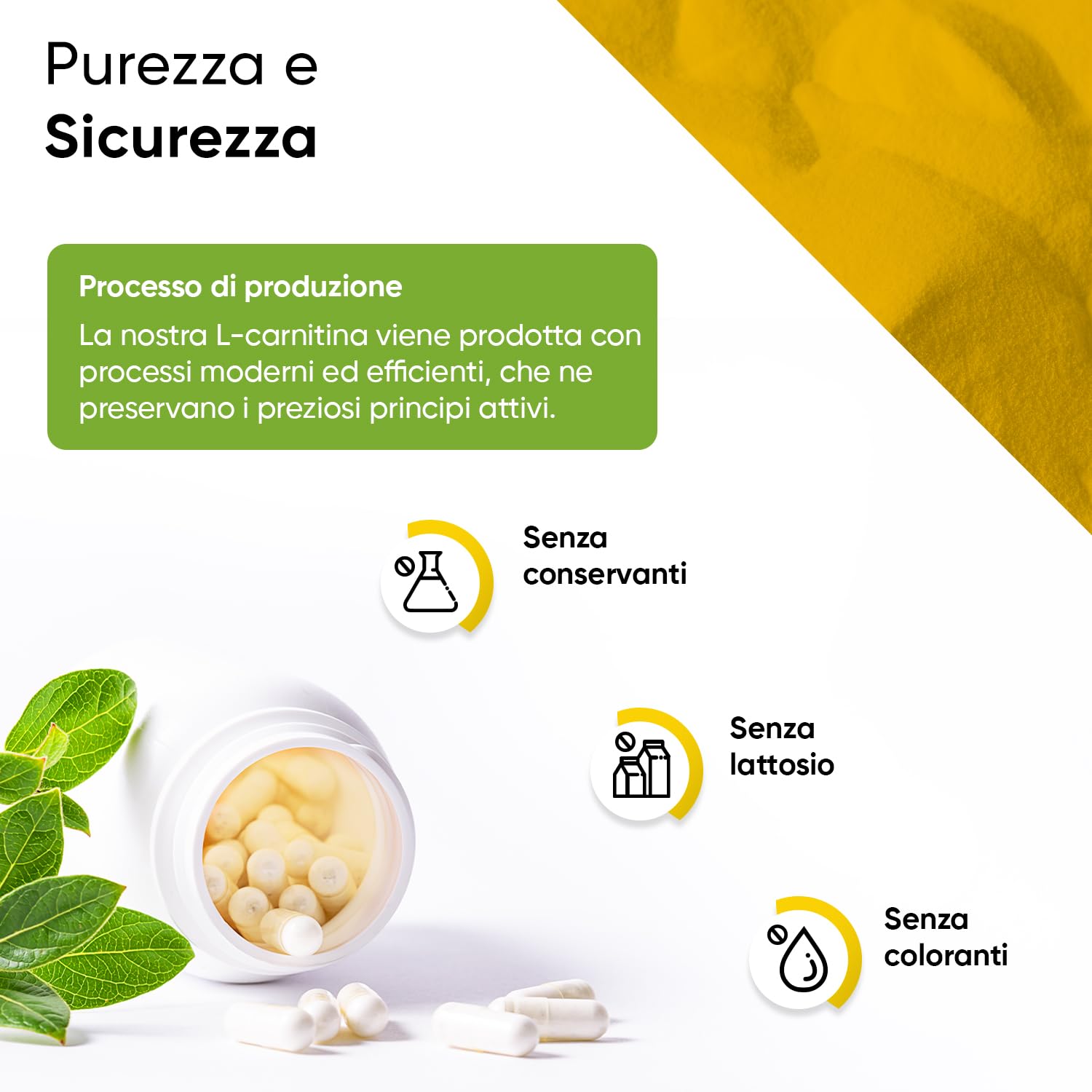 L-Carnitina 320 capsule 3000 mg a dose giornaliera scorta per 3 mesi portapillole incluso capsule ad alto dosaggio di L-carnitina 100% vegano testato in laboratorio