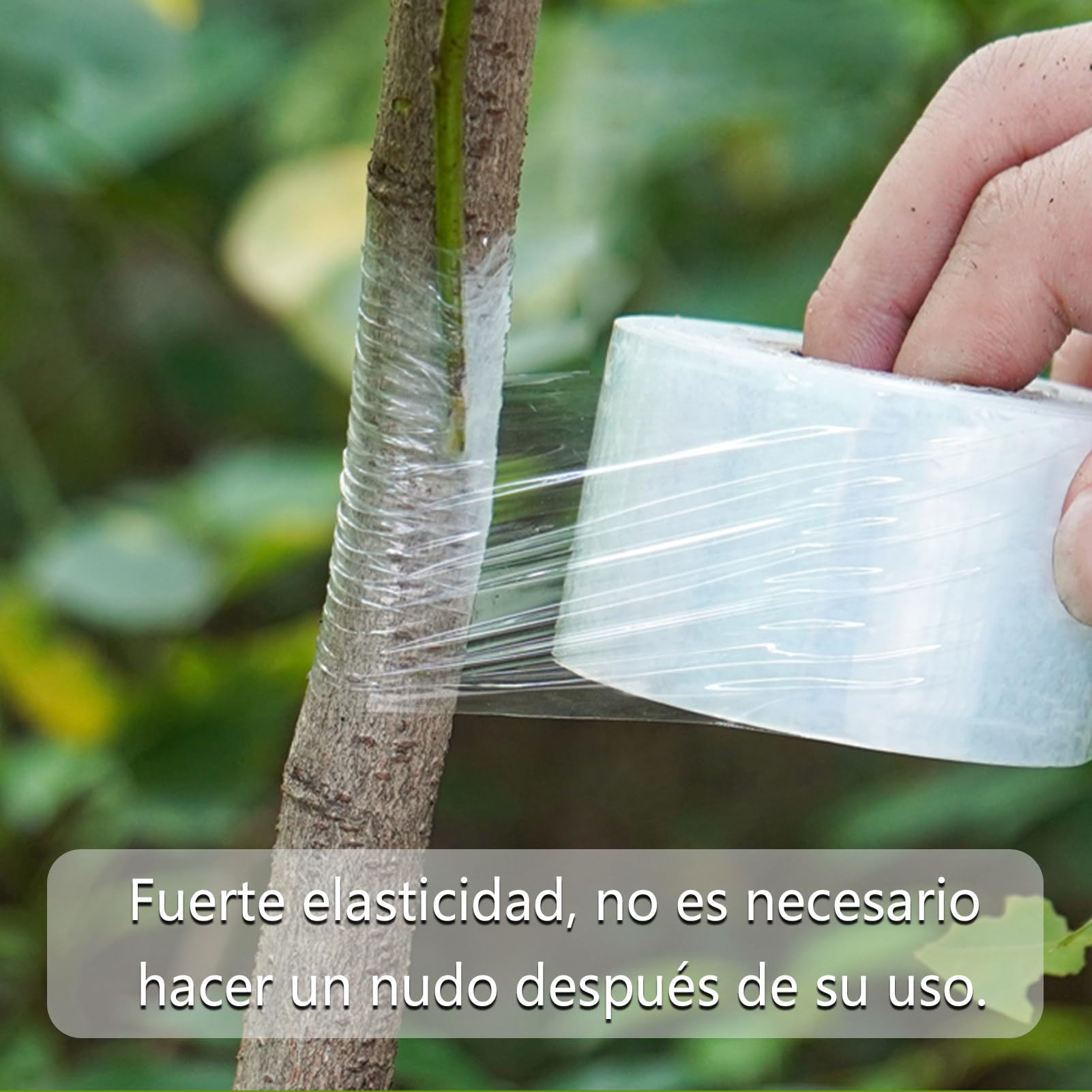 3 Rollos de Cinta de Injerto de Transparente Estirable, Autoadhesiva para Jardinería Película de Injerto, Ideal para Injertar Árboles Frutales, Flores y Uso en Viveros, 100 m