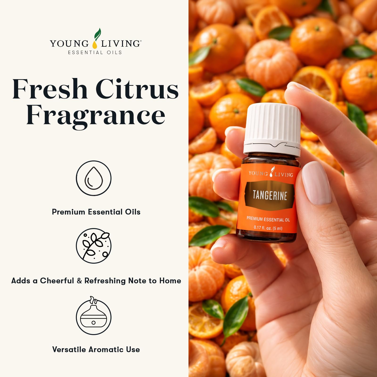 Amazon.com: Young Living Tangerine Essential Oil | 5 ml | Sweet