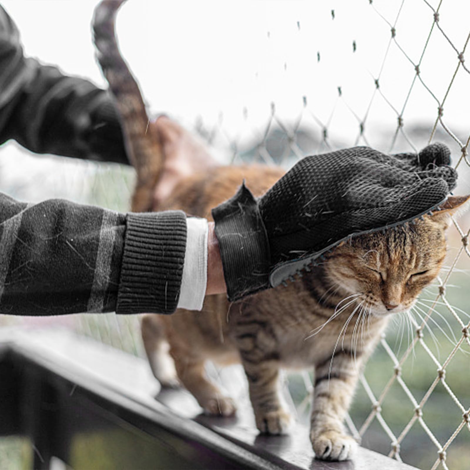 LABUYI 1 Stck Katzenhandschuh,Katzenbrste Handschuh,Katzen Handschuhe  Fellpflege,Fellpflegehandschuh Katze,Fellpflege Katze,Katzen Handschuh,fr  Hunde,Katzen,Kurzhaar,Langhaar (Rechte Hand) : Amazon.de: Haustier