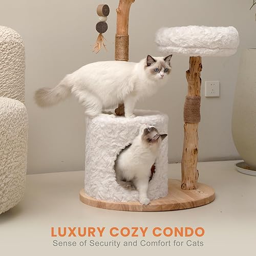Miniatura 5 de PEGIC Torre de árbol para gatos con dos ramas reales, torre moderna de madera para gatos de 44 pulgadas con condominio de lujo, poste rascador para