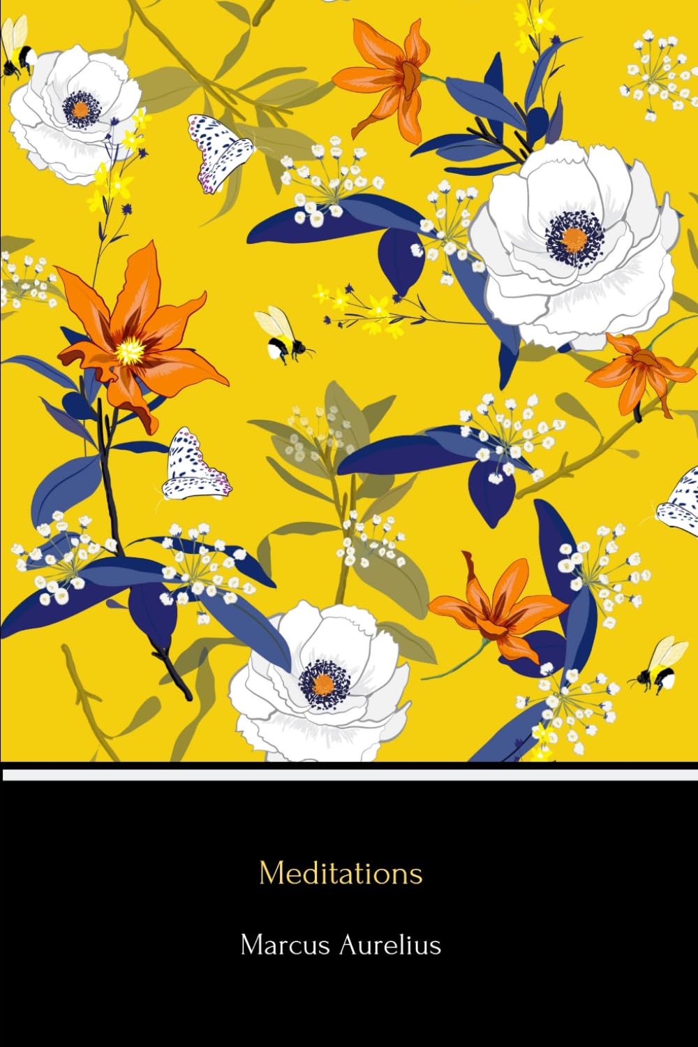 Meditations (Illustrated)