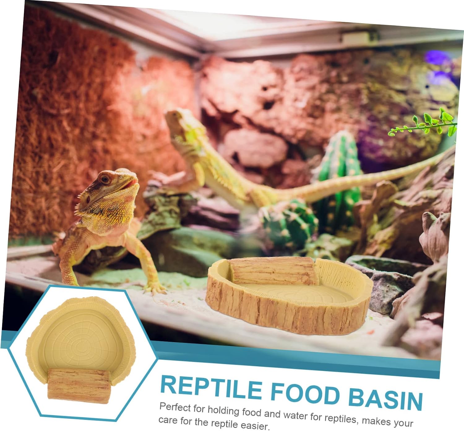 Abaodam Reptile Water Bowl for Lizards and Tortoises Terrarium Feeding Dish Decorative Design Non-Toxic Resin 2-Pack