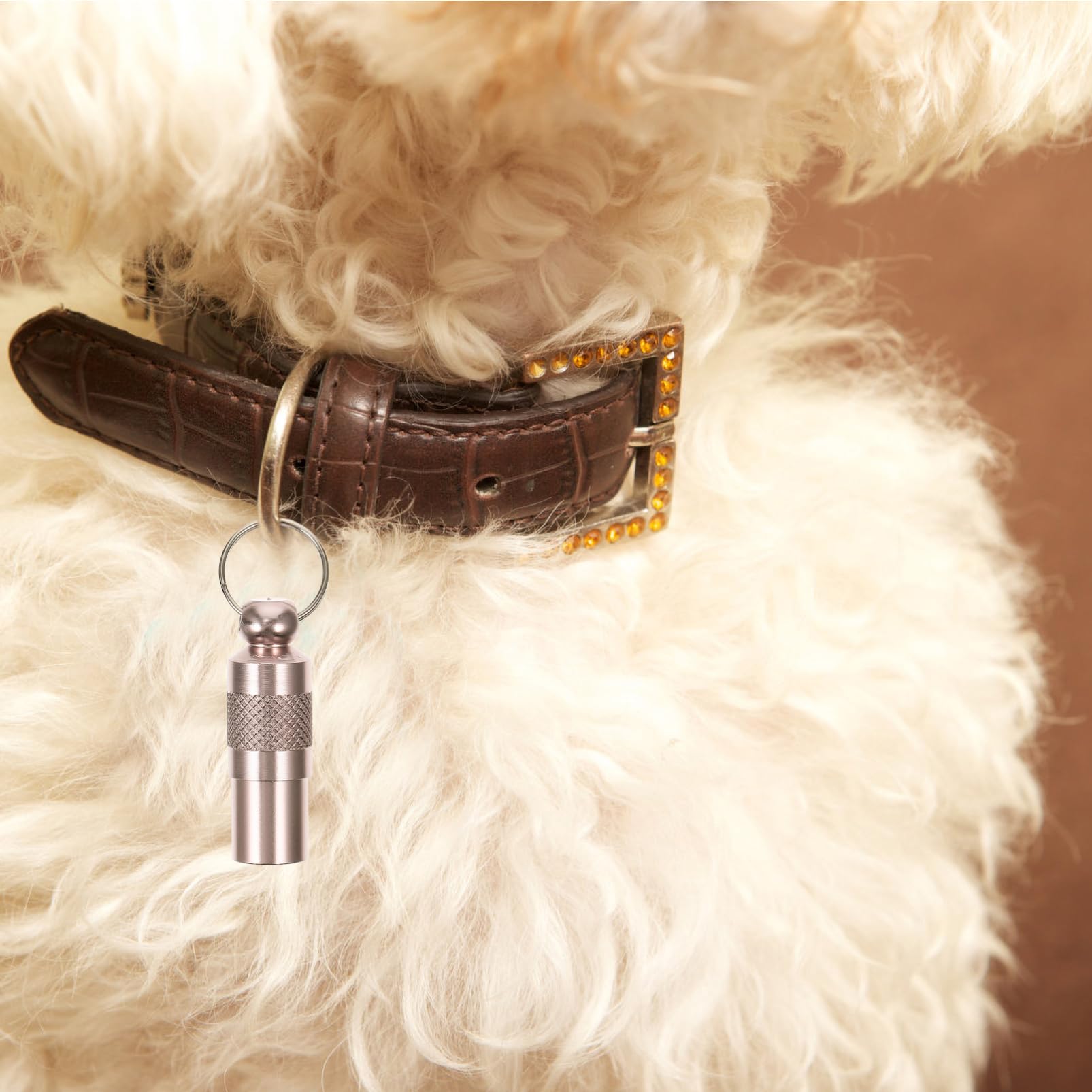 Didiseaon 4 Set di Targhette Identificative Personalizzate per Animali Domestici - Targhetta per Cani E Gatti Smarriti con E Indirizzo Collare Tubolare 6 Pezzi*4