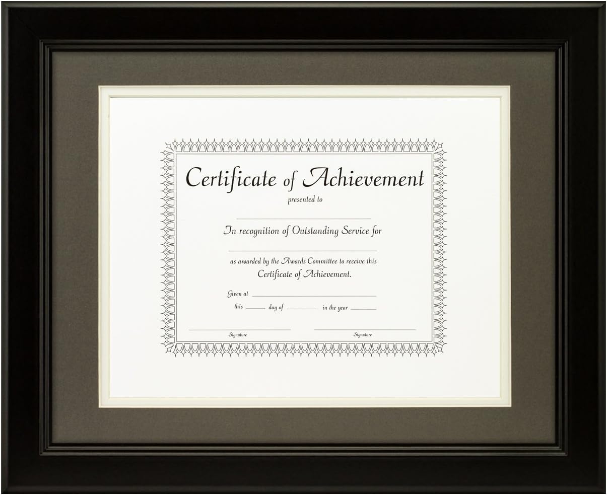 Craig Frames 11x14-Inch Distressed Silver Document Frame, Double Mat with Single 8.5x11-Inch Opening