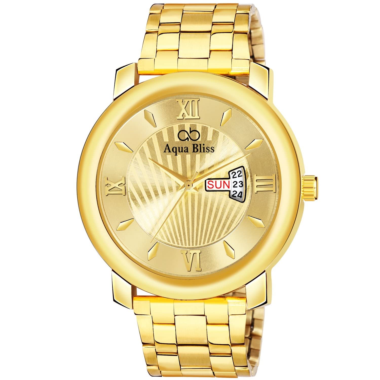 AQUA BLISS206 Gold Stainless Steel Day & Date Analog Men's Watch