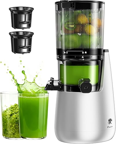 Miniatura 9 de Exprimidor de prensa en frío B11, máquina exprimidora de alimentación extra ancha de 6 pulgadas, potente motor sin escobillas de CA, sistema