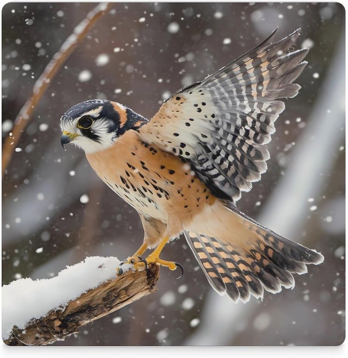 Kestrel Bird in Snowy Day Funny Ceramic Coasters for Drinks Absorbent Cup Holder Tabletop Protector with Cork Base