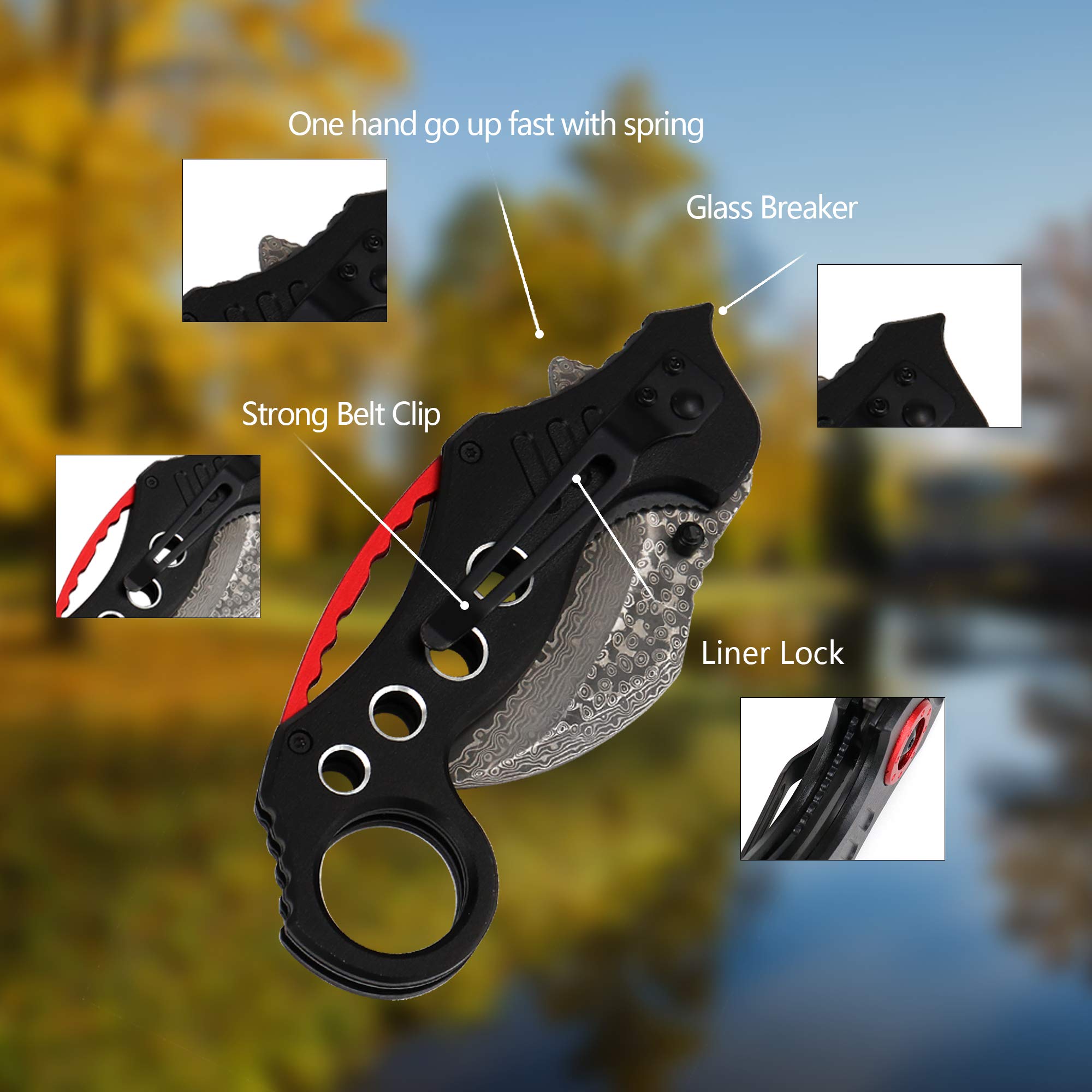 ALBATROSS Damascus Steel Folding Pocket Knife - Karambit Claw Knife with 71-Layer Forged Blade - Tactical Survival Tool for Camping, Hiking, Outdoor & Indoor Activities (5.5